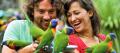 Currumbin Wildlife Sanctuary Tickets - RACQ Thumbnail 1