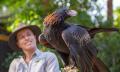 Currumbin Wildlife Sanctuary Tickets - RACQ Thumbnail 5