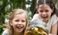 Currumbin Wildlife Sanctuary Tickets - RACQ Thumbnail 6