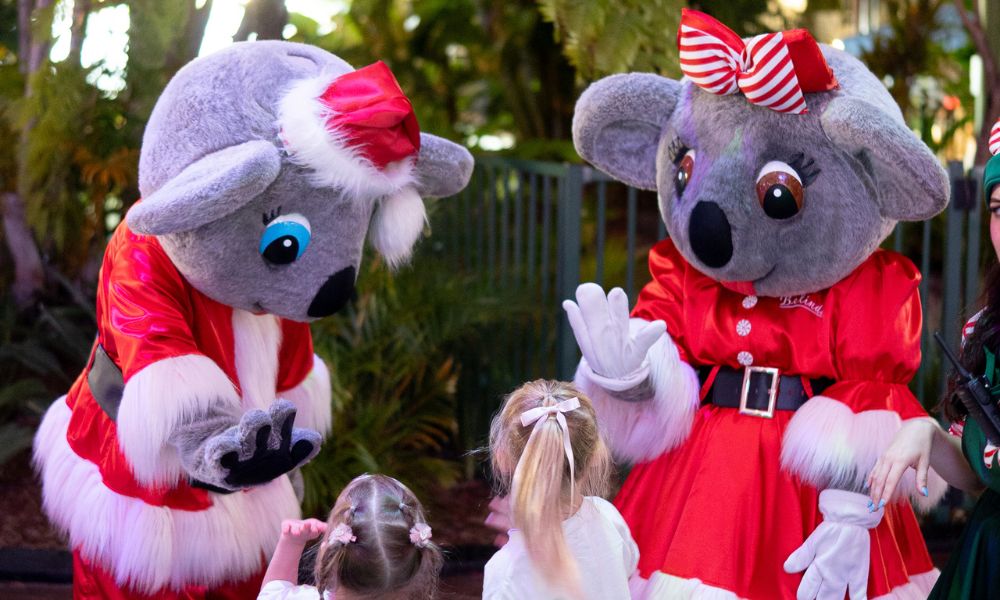 Dreamworld Christmas in July - Bundle of 4