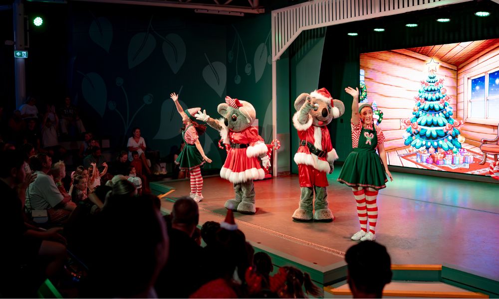 Dreamworld Christmas in July - Bundle of 5