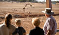Monarto Safari Park Entry Tickets Thumbnail 1