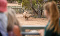 Monarto Safari Park Entry Tickets Thumbnail 2