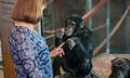 Monarto Safari Park Entry Tickets Thumbnail 3