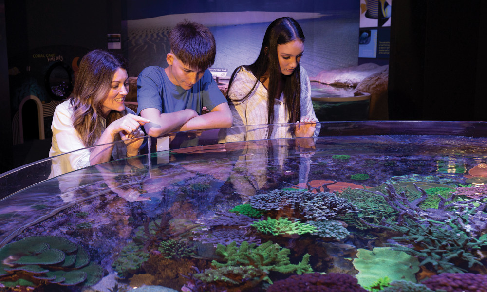 The Aquarium of Western Australia - Behind The Scenes