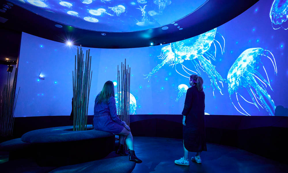 SEA LIFE Melbourne Aquarium Entry - Dynamic pricing