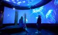 SEA LIFE Melbourne Aquarium Entry - Dynamic pricing Thumbnail 1