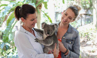 Lone Pine Koala Sanctuary Tickets Thumbnail 6