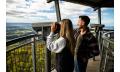 Illawarra Fly Treetop Walk Entry Thumbnail 1