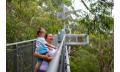 Illawarra Fly Treetop Walk Entry Thumbnail 3