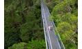 Illawarra Fly Treetop Walk Entry Thumbnail 2