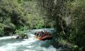 Rangitaiki River Grade 3 to 4 Water Rafting Thumbnail 2