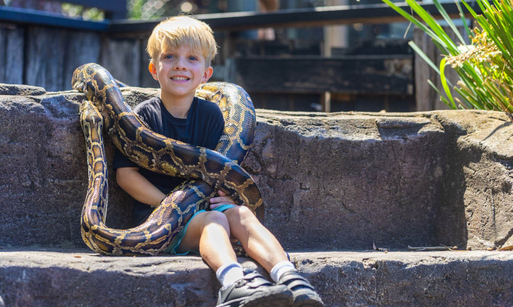 Snake