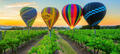 Hunter Valley 1-hour Hot Air Balloon Flight Thumbnail 5
