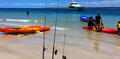 Fraser Island Half Day Beach and BBQ Cruise Adventure Thumbnail 3