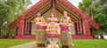 Waitangi Treaty Grounds Hangi Dinner and Concert Thumbnail 6