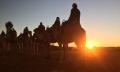 Uluru Sunrise Camel Ride Tour Thumbnail 3