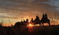 Uluru Sunrise Camel Ride Tour Thumbnail 4