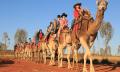 Uluru Sunrise Camel Ride Tour Thumbnail 6