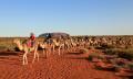 Uluru Express Camel Tours Thumbnail 5