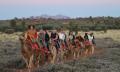 Uluru Sunset Camel Ride Tour Thumbnail 2