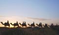 Uluru Sunset Camel Ride Tour Thumbnail 4
