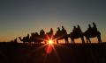 Uluru Sunset Camel Ride Tour Thumbnail 5
