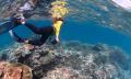Wavelength Outer Barrier Reef Thumbnail 2
