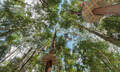 TreeTop Adventure Park Central Coast Thumbnail 5
