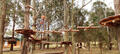 Western Sydney Treetop Adventure Park Thumbnail 6