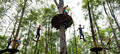 Western Sydney Treetop Adventure Park Thumbnail 3