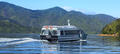 Marlborough Sounds Mail Boat Cruise from Picton Thumbnail 2