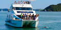 Bay of Islands Original Cream Cruise Thumbnail 2