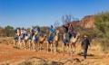 Alice Springs Noon Camel Ride Thumbnail 3