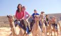 Alice Springs Noon Camel Ride Thumbnail 4