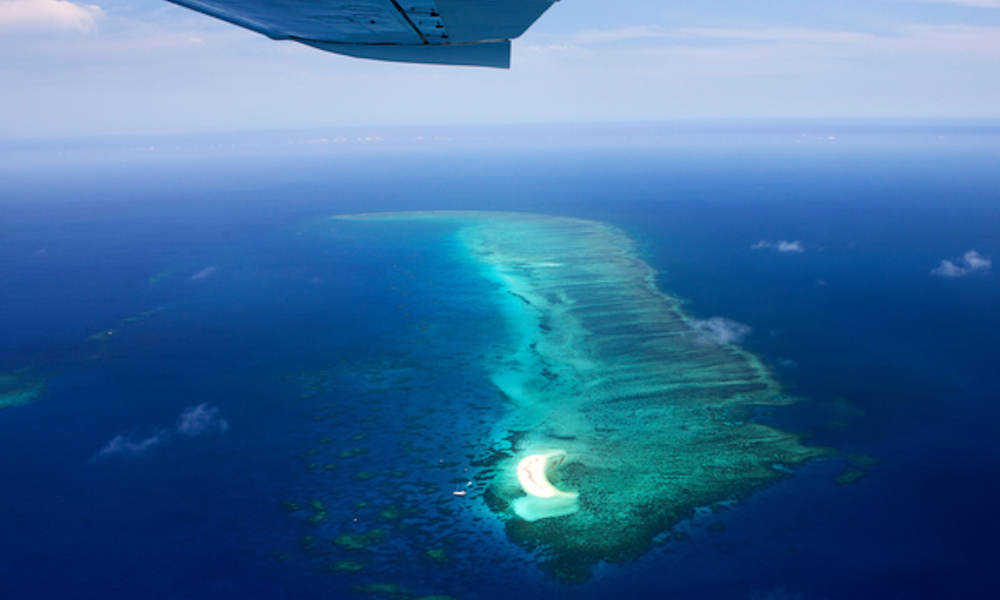 Great Barrier Reef and Port Douglas 60 Minute Scenic Flight