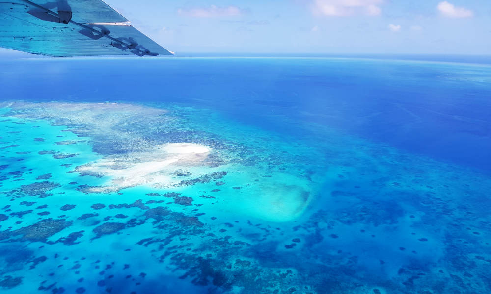 Great Barrier Reef and Port Douglas 60 Minute Scenic Flight