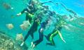 Gold Coast Kayaking and Snorkelling Tour to Wavebreak Island Thumbnail 6