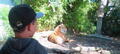 Auckland Zoo General Admission Tickets Thumbnail 5