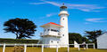 Tiritiri Matangi Island Guided Day Tour from Auckland Thumbnail 3