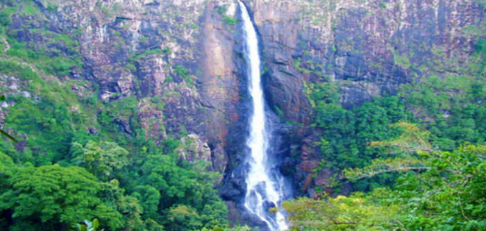 Free Things To Do  Ellenborough Falls