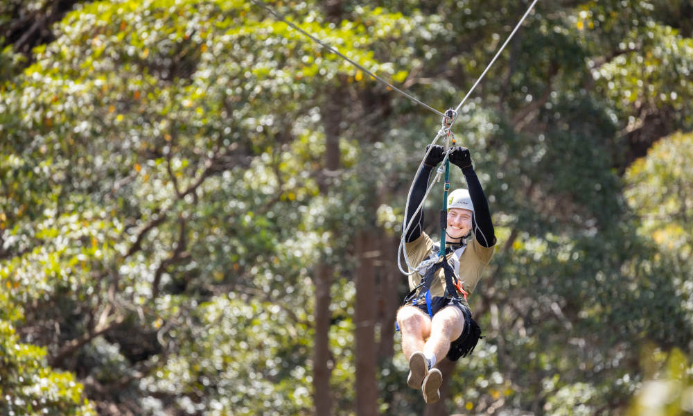Canyon Flyer - Tamborine Mountain