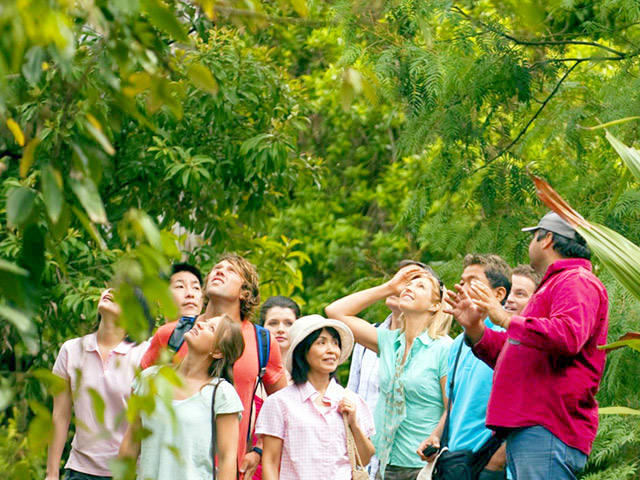 Free Things To Do  Adelaide Botanic Gardens