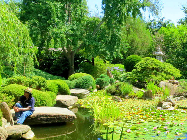 Free Things To Do  Himeji Garden Adelaide