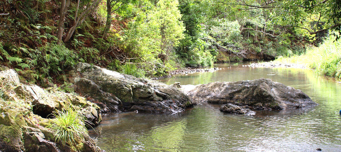 Free Things To Do  Currumbin Rock Pools