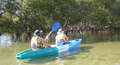 Brunswick River Nature Kayak Tour Thumbnail 1