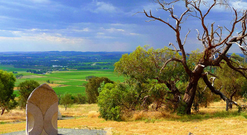Free Things To Do  Barossa Sculpture Park