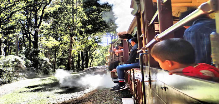 Free Things To Do  Emerald Lake Park
