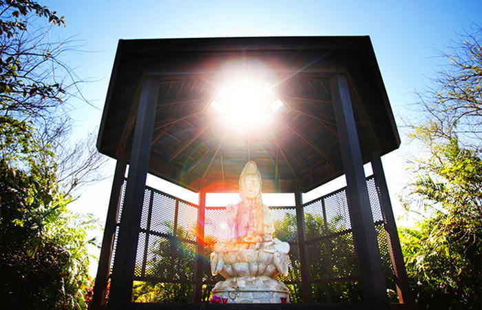 Free Things To Do  Buddha Sanctuary