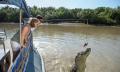Adelaide River Jumping Crocodile Cruise Thumbnail 1